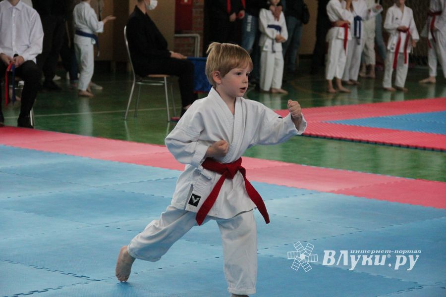 Открытый Кубок города Великие Луки по каратэ WKF (ФОТО)