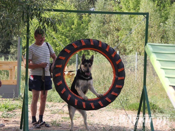 День открытых дверей на спортивно-дрессировочной площадке