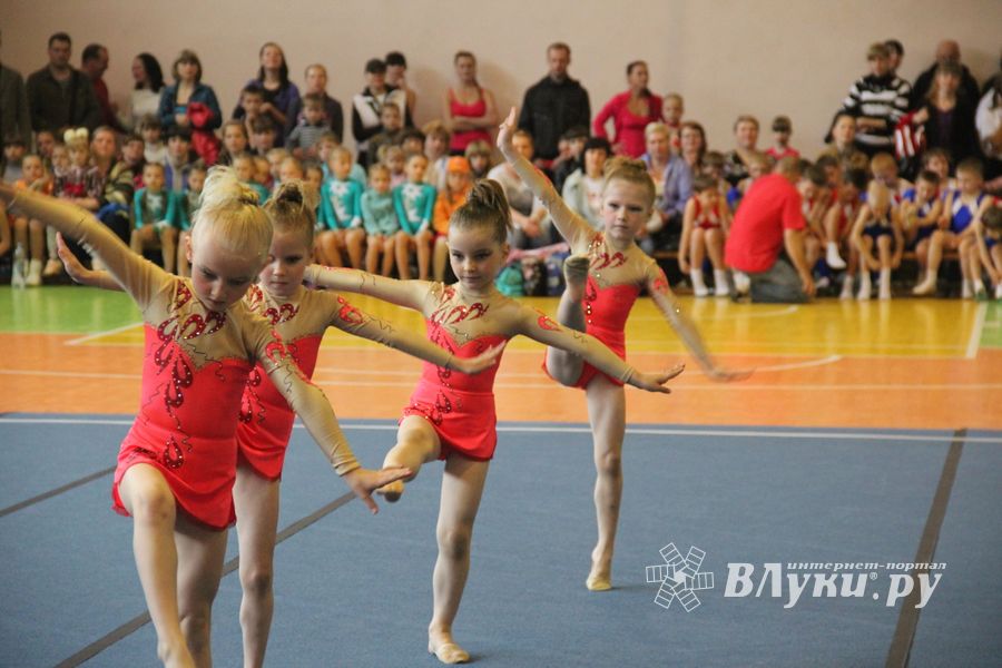 Парад гимнастики