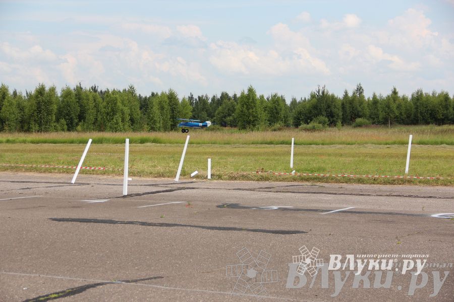 В Великих Луках прошли воздушные бои (фото)