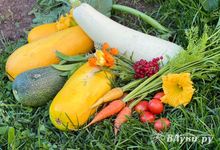 Прогноз погоды в Великих Луках на 29 августа