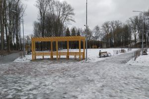 В парке «Петровский» появилась «Яблоня любви» (ФОТО)