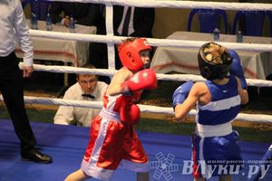 Открытие 16-го  Международного турнира по боксу