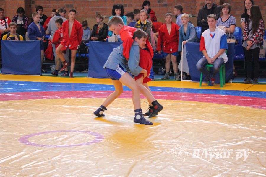 В Великих Луках проходит турнир по самбо (ФОТО)
