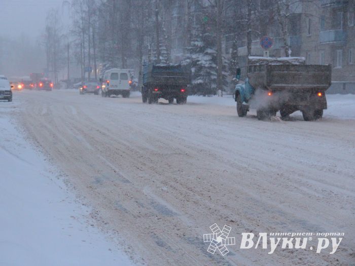 Великие Луки заносит снегом (фото)