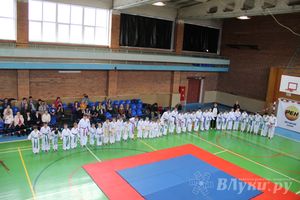 В Великих Луках прошло Первенство по тхэквондо (фото)