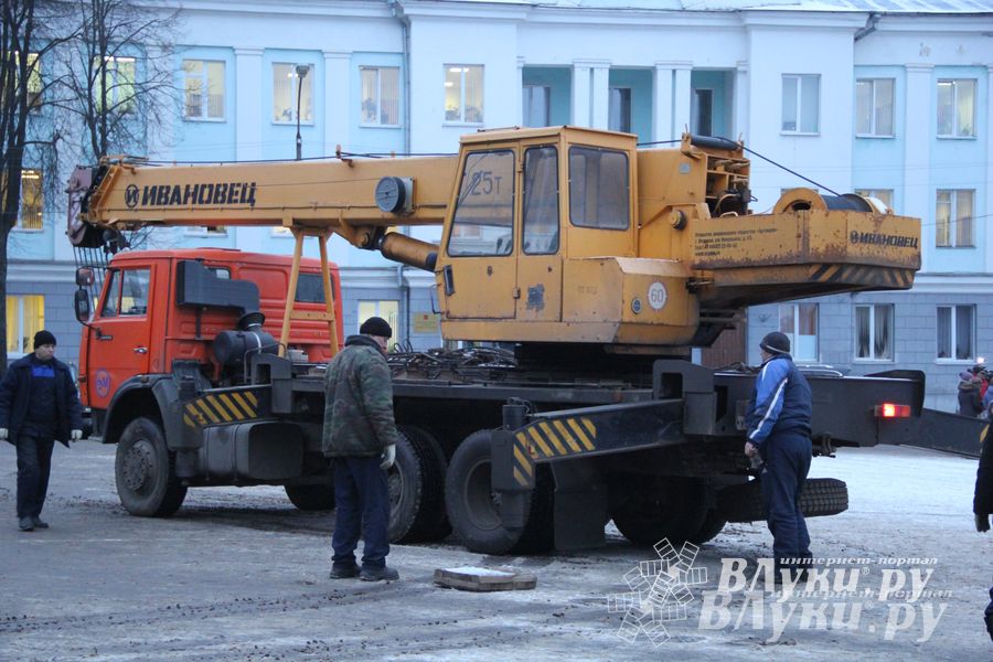 В Великих Луках установили новогоднюю елку (фото)