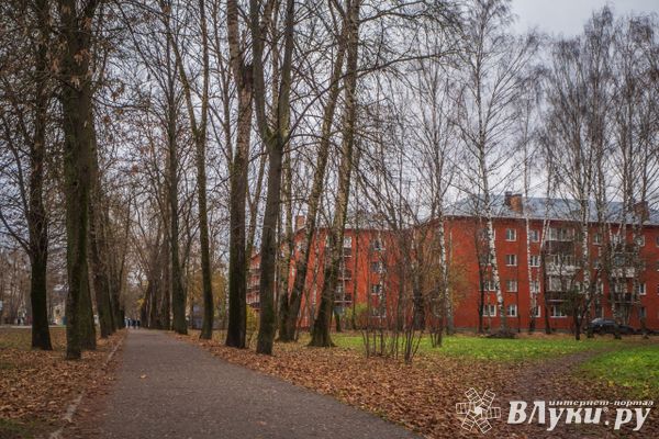 Прогноз погоды на 10 ноября в Великих Луках