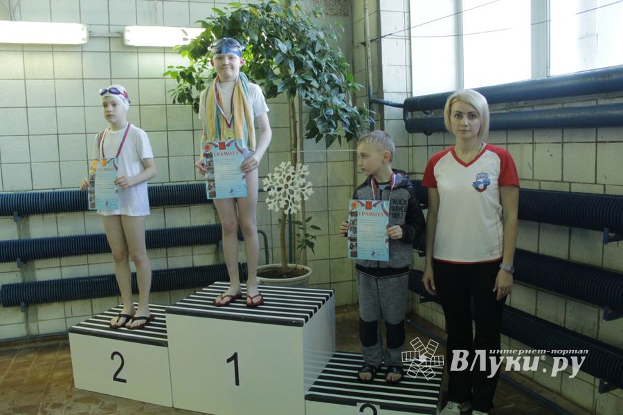 В Великих Луках прошел Чемпионат и Кубок города по плаванию (фото)