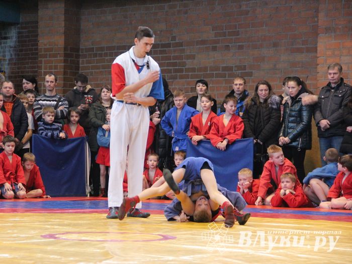 Открытый турнир по самбо «Новогодняя звезда-2019» прошел в Великих Луках (ФОТО)