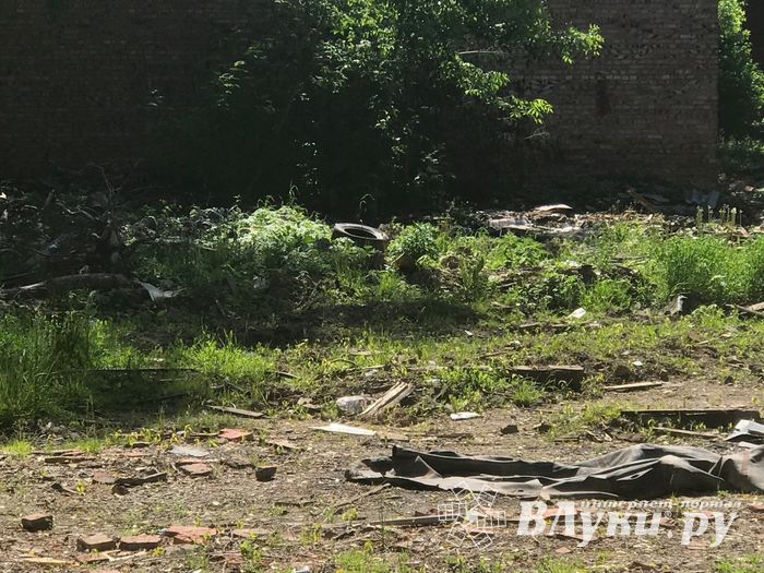 В Великих Луках снесенные дома превращаются в свалки (ФОТО)