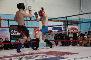 Открытый Кубок города Великие Луки по смешанному боевому единоборству (ММА)