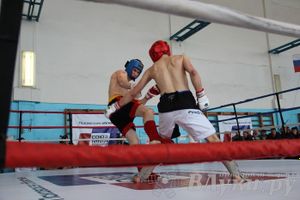 Чемпионат Псковской области по ММА