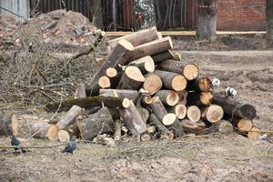 Строительство новой школы в Великих Луках — все идет по плану (ФОТО)