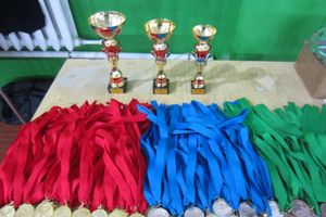 Великолукские каратисты отличились на Кубке ДОСААФ в Твери (ФОТО)