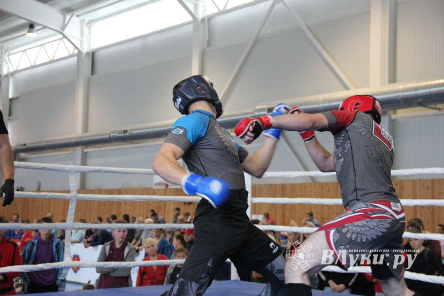 1-й Фестиваль боевых искусств состоялся в Великих Луках  (ФОТО)