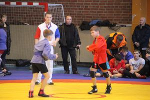 В Великих Луках прошел турнир по самбо "Память" (фото)