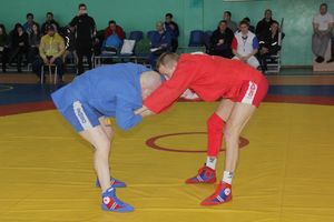 В Великих Луках прошел турнир по самбо, посвященный подвигу Александра Матросова (ФОТО)