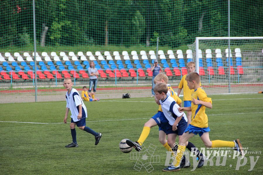 «Локобол-2013» в Великих Луках