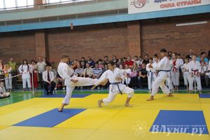 Великолучане стали победителями турнира по каратэ «Неприкосновенный запас, дети — Отчизны 2015» (фото)