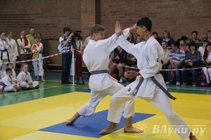 Великолучане стали победителями турнира по каратэ «Неприкосновенный запас, дети — Отчизны 2015» (фото)