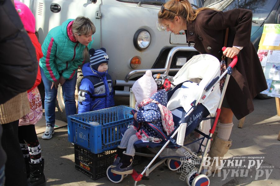 Универсальная торговая ярмарка «Весна-2015» прошла в Великих Луках (фото)