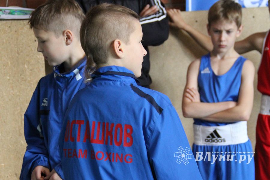 3-й день соревнований Международного турнира по боксу