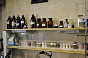 Студенты ВГСХА посетили ООО «Велторф» (ФОТО)