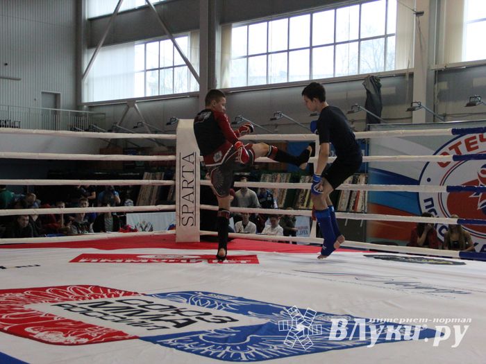 Открытый кубок по смешанному боевому единоборству ММА прошел в Великих Луках (ФОТО)