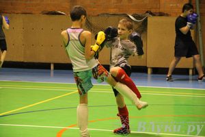 В Великих Луках прошел мастер-класс по кикбоксингу (фото)