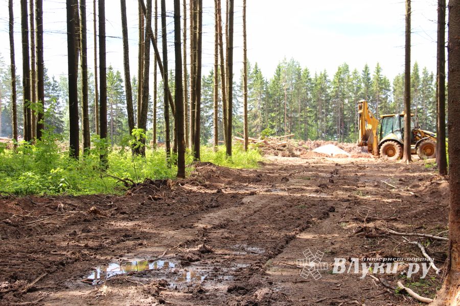 Строительство велоцентра в Великих Луках: склад, спортплощадки, велодорожки и земляника (ФОТО)