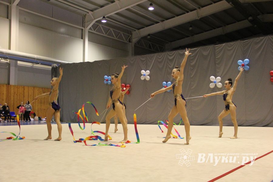 В Великих Луках прошли соревнования на Кубок Псковской области по художественной гимнастике (ФОТО)