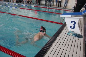 В «Айсберге» прошло Первенство города по плаванию (ФОТО)