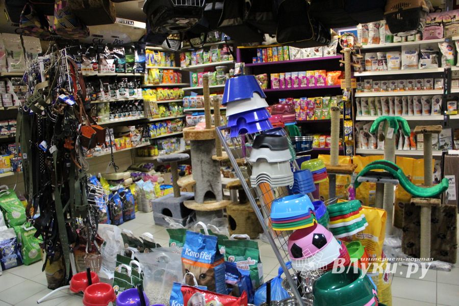 «Zooбастики»: подарите праздник своим любимцам! (ФОТО+ВИДЕО)