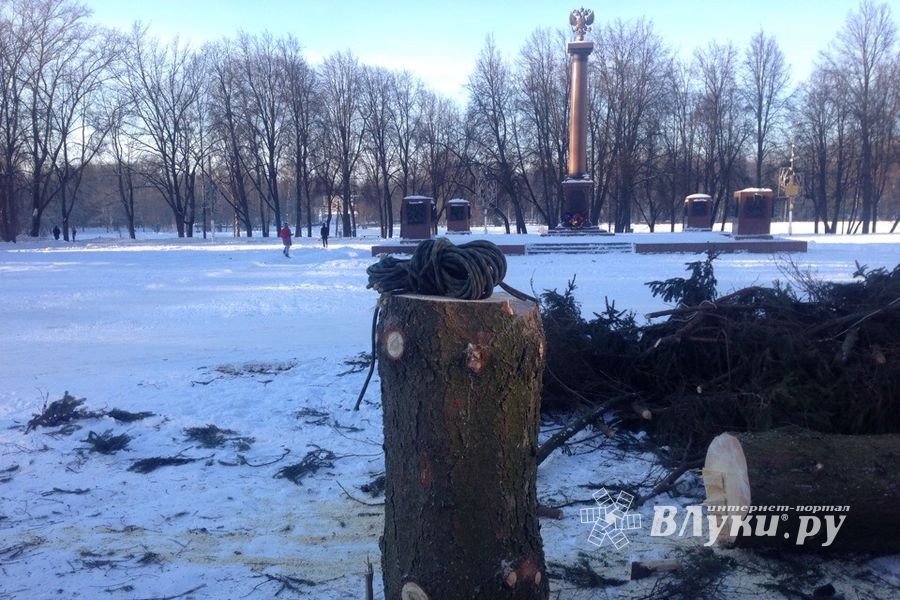 Главная ёлка города попрощалась с великолучанами (ФОТО)