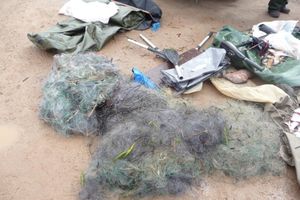 Сотрудники рыбоохраны задержали на трассе Псков – Гдов браконьеров из Ленинградской области (фото)