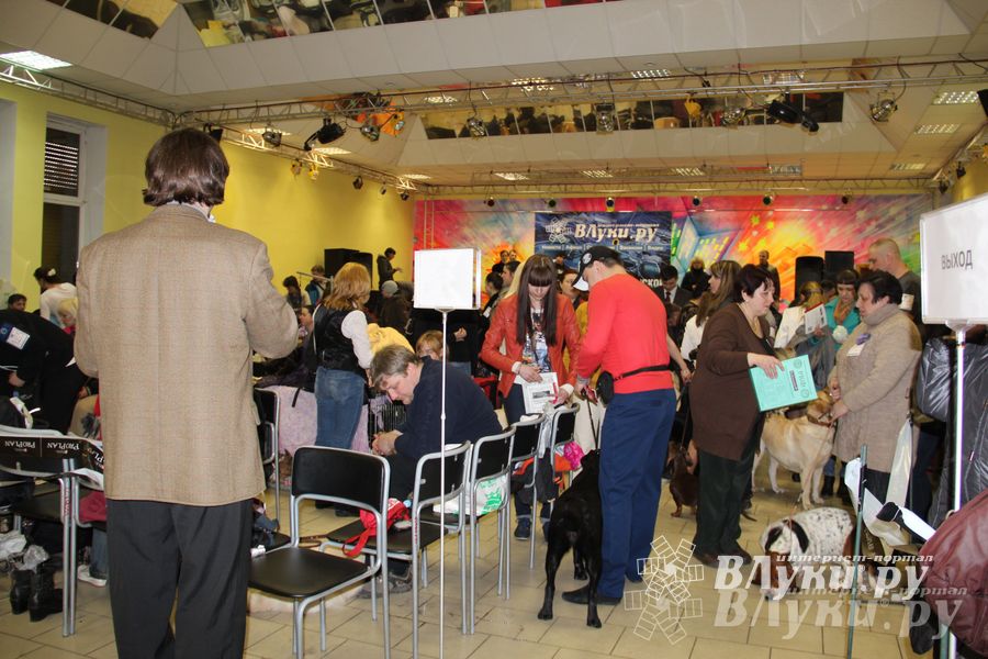 Всероссийская выставка собак в Великих Луках (фото)