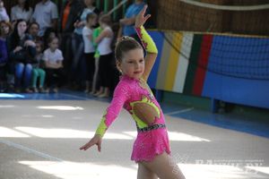 В Великих Луках прошло Первенство по художественной гимнастике (фото)