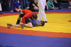 В Великих Луках прошел турнир по самбо "Память" (фото)