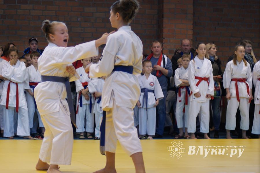 В Великих Луках прошли соревнования по каратэ (ФОТО)