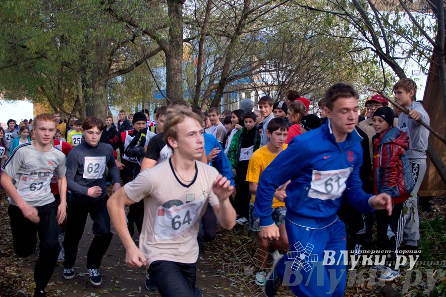 В Великих Луках прошел «Осенний кросс» 