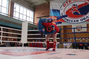 В Великих Луках прошел международный открытый Кубок по смешанному боевому единоборству (ФОТО) (16+)