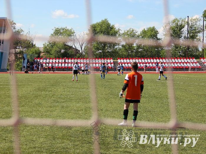 «Локобол-2013»: Великие Луки-Кировск