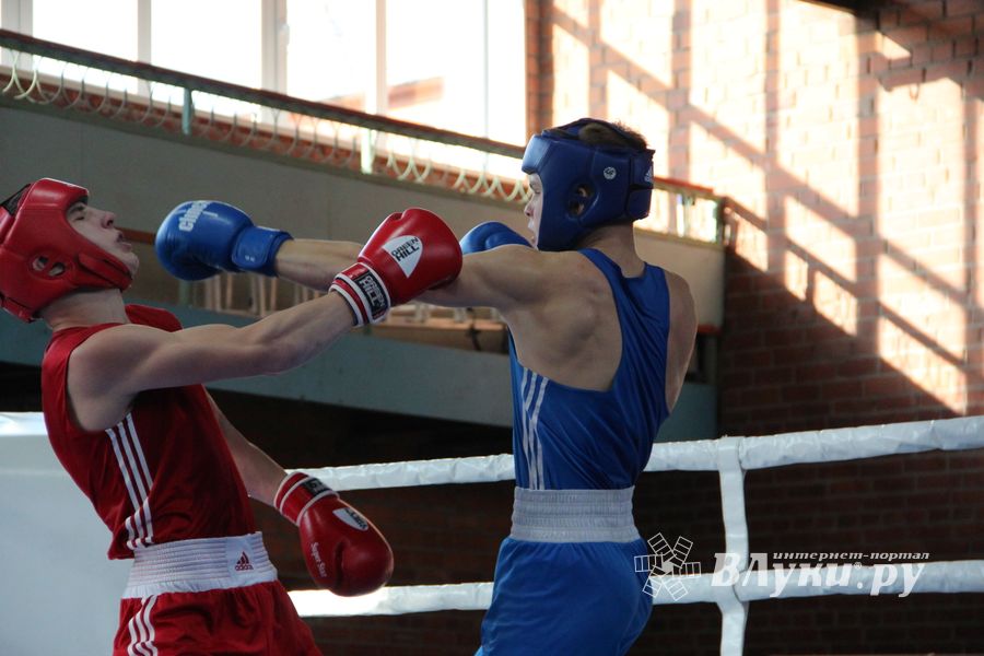 В Великих Луках прошел турнир по боксу памяти Е. Клевцова (ФОТО)