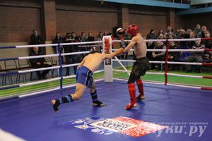 В Великих Луках прошел межрегиональный Открытый Кубок по смешанному боевому единоборству (фото)