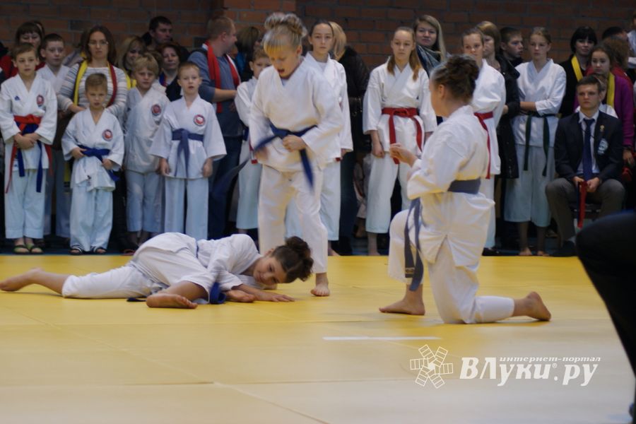 В Великих Луках прошли соревнования по каратэ (ФОТО)