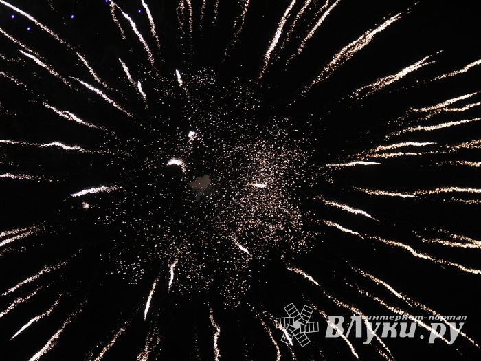 В Великих Луках зажглась новогодная ёлка (ФОТО)