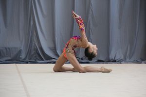 ​В Великих Луках проходит Открытое Первенство по художественной гимнастике (ФОТО) (0+)