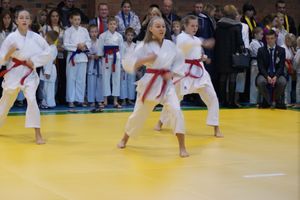 В Великих Луках прошли соревнования по каратэ (ФОТО)