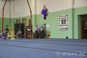 В Великих Луках прошел турнир по спортивной гимнастике (фото)